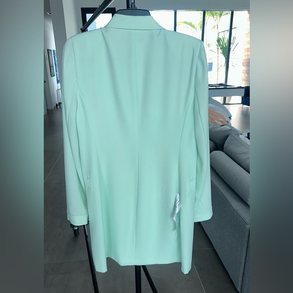 BCBG Light Green Double-Breasted Blazer - Picture 5 of 6